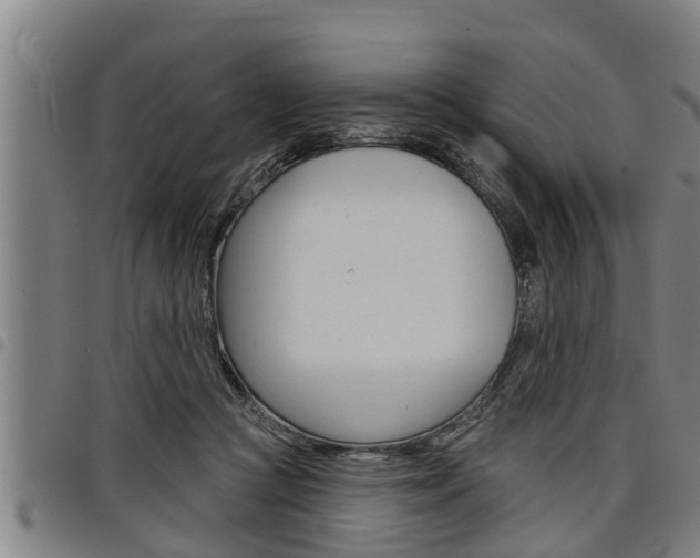 X0000098110361200804040806