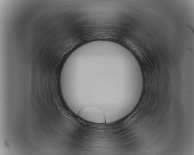 X0000098110362200804040806