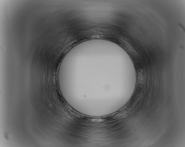 X0000098110363200804040806