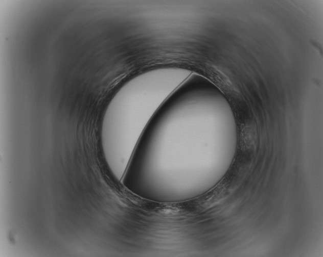 X0000098110364200804040806