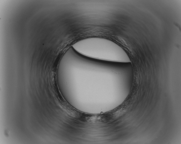 X0000098110366200804040806
