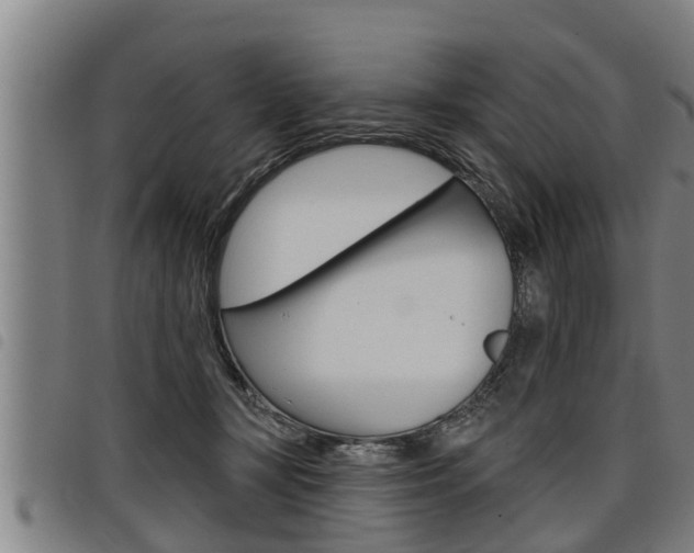 X0000098110367200804040806