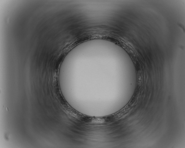 X0000098110369200804040806