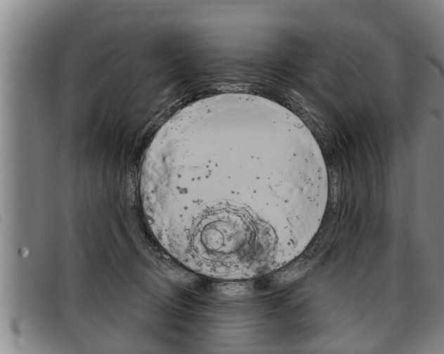 X0000098110370200804040806