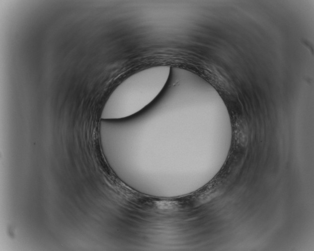 X0000098110371200804040806