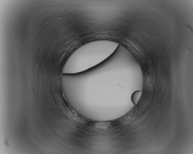 X0000098110373200804040806