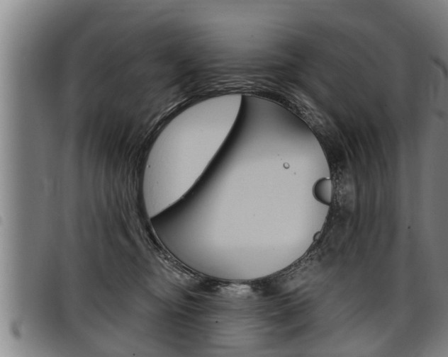 X0000098110374200804040806