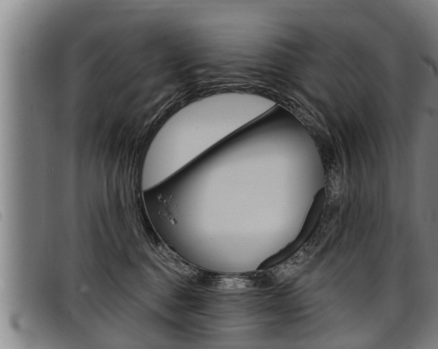 X0000098110376200804040806