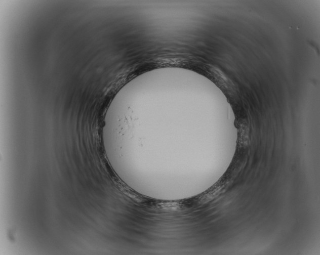X0000098110377200804040806