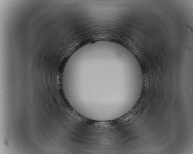 X0000098110378200804040806