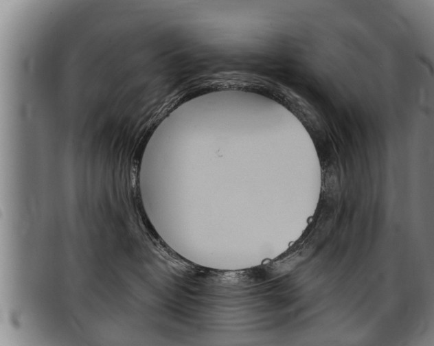 X0000098110382200804040806