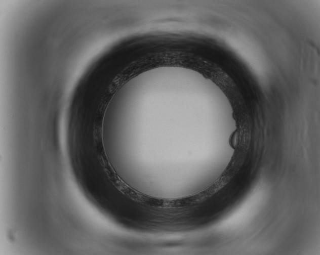 X0000098110383200804040806