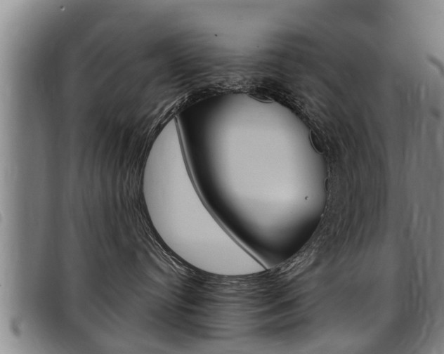 X0000098110384200804040807