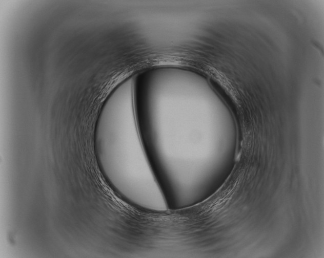 X0000098110385200804040806