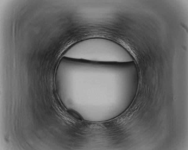 X0000098110386200804040806