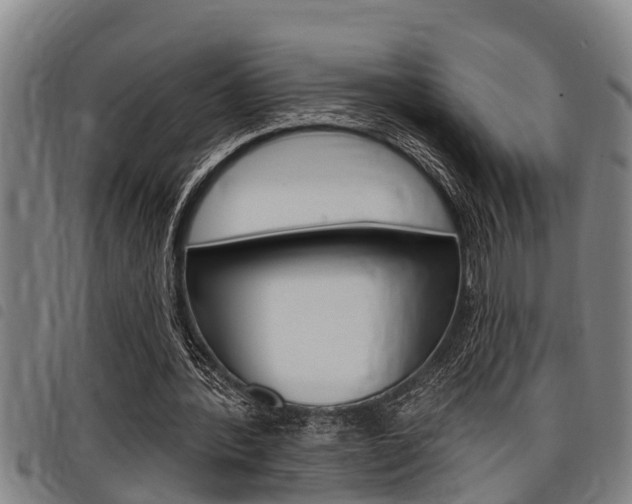 X0000098110388200804040806