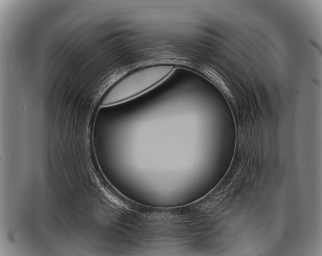 X0000098110389200804040806