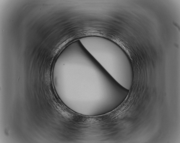 X0000098110390200804040806