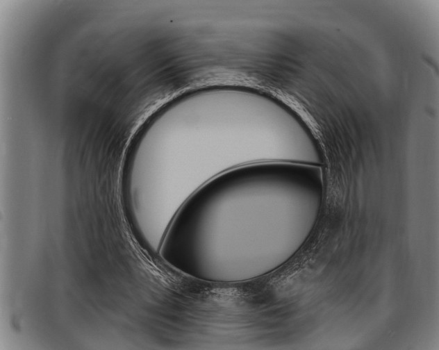 X0000098110391200804040806