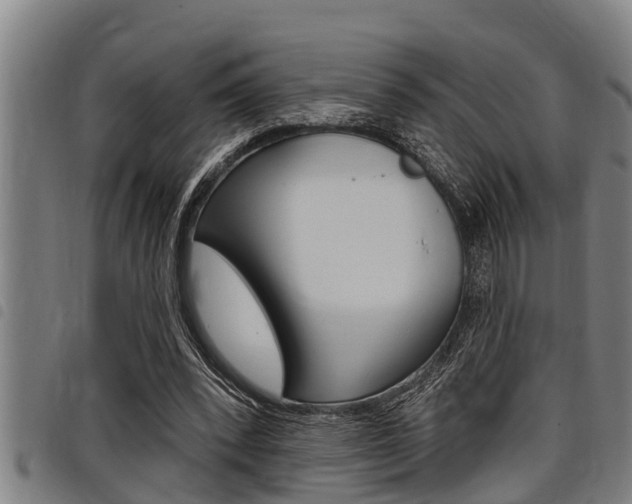 X0000098110392200804040806