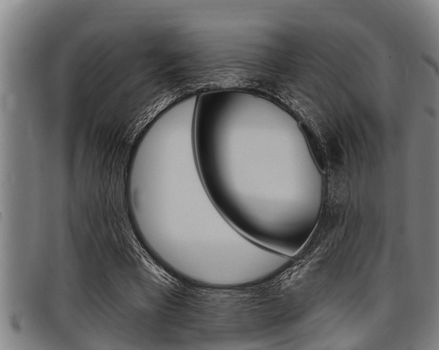 X0000098110393200804040806