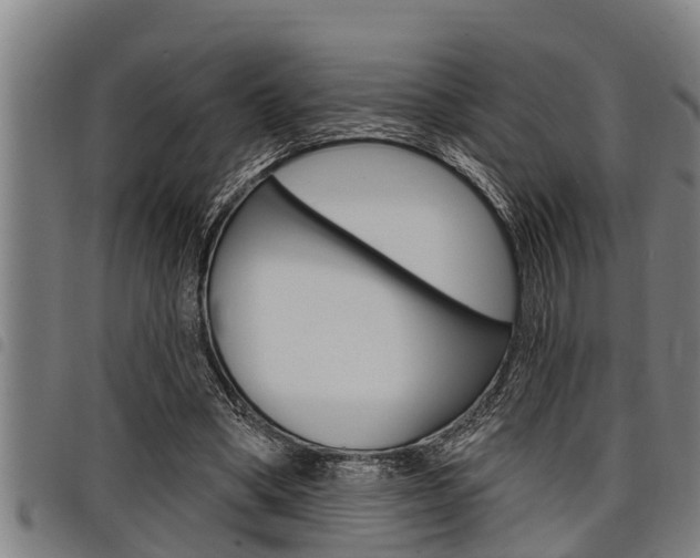 X0000098110394200804040806