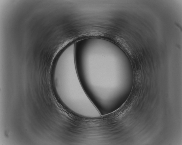 X0000098110395200804040806