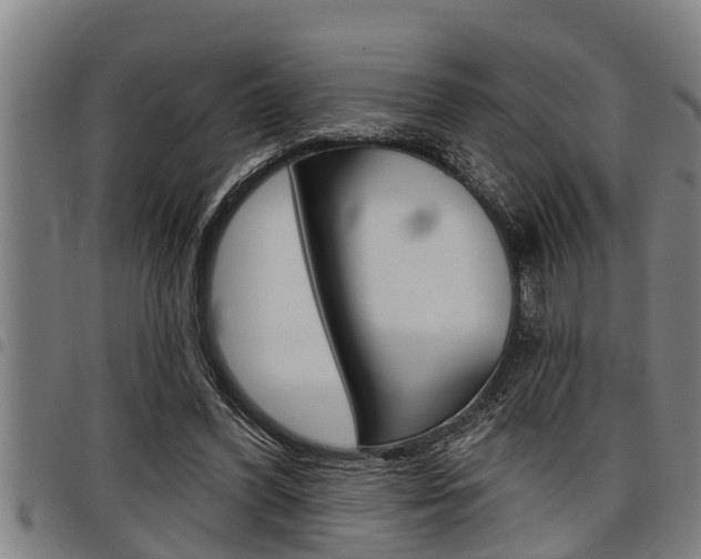 X0000098110396200804040806
