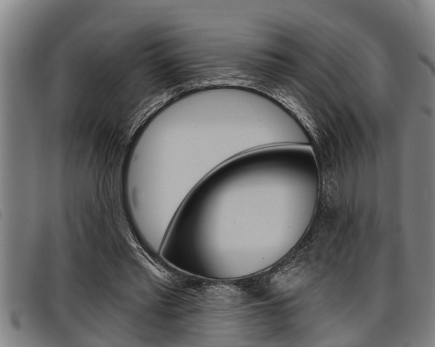 X0000098110397200804040806