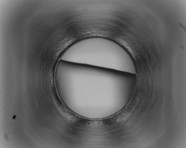X0000098110398200804040806