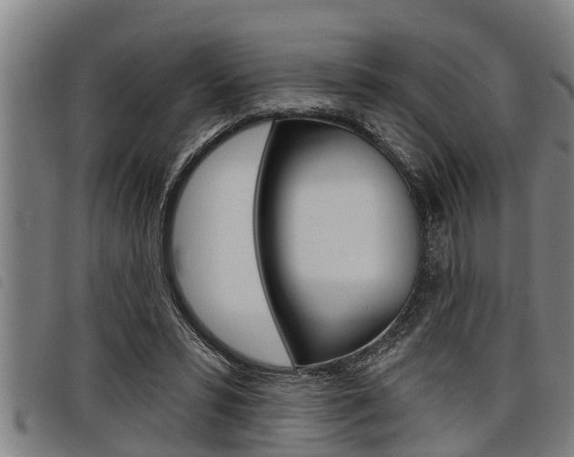 X0000098110399200804040806