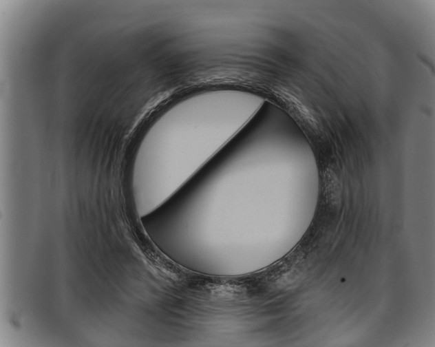 X0000098110400200804040806