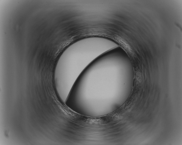 X0000098110401200804040806