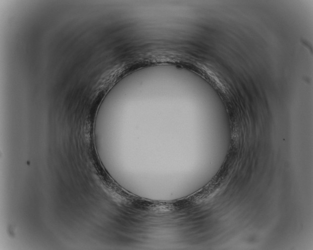 X0000098110402200804040806