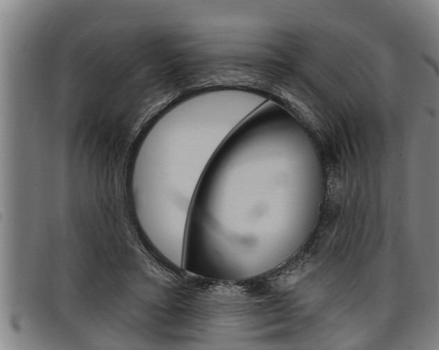X0000098110403200804040806