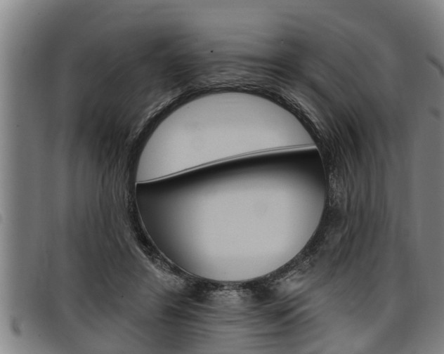 X0000098110404200804040806
