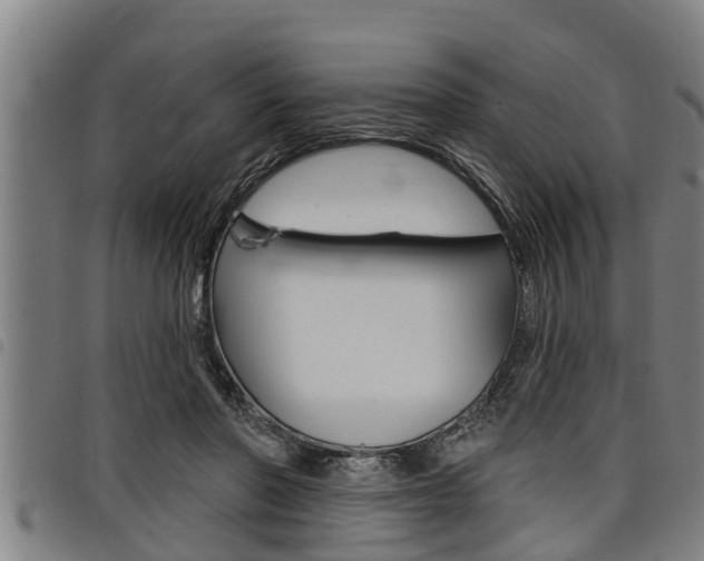 X0000098110406200804040806