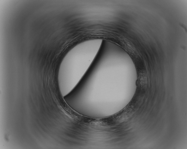 X0000098110408200804040806
