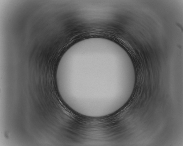 X0000098110409200804040806