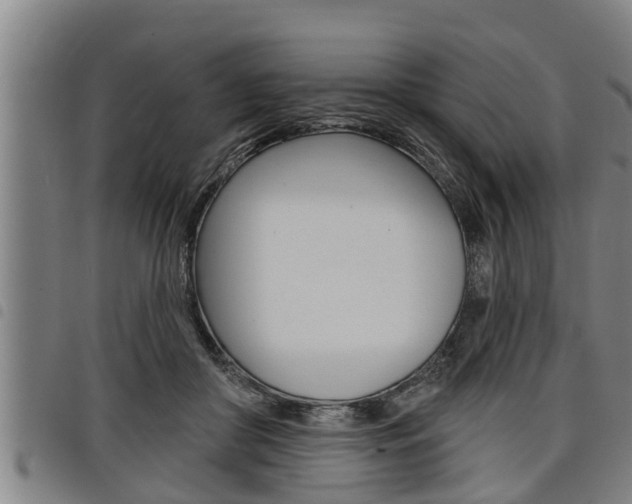 X0000098110410200804040806