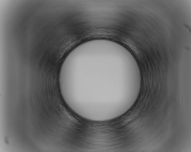 X0000098110411200804040805