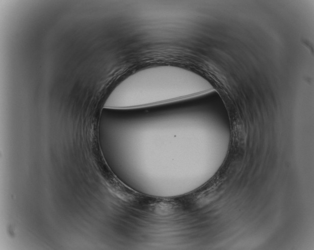 X0000098110412200804040805