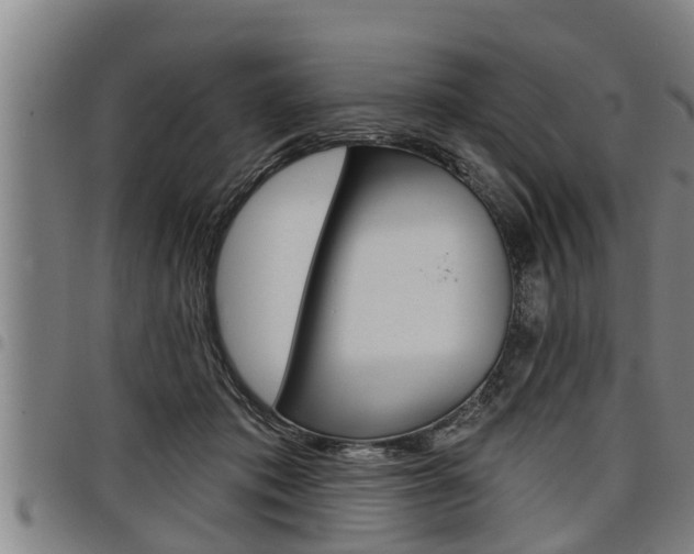 X0000098110413200804040805