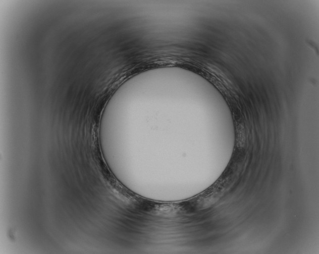 X0000098110414200804040805