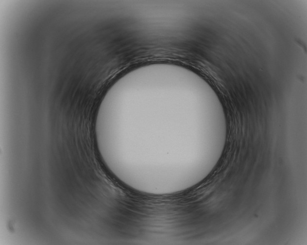 X0000098110415200804040805