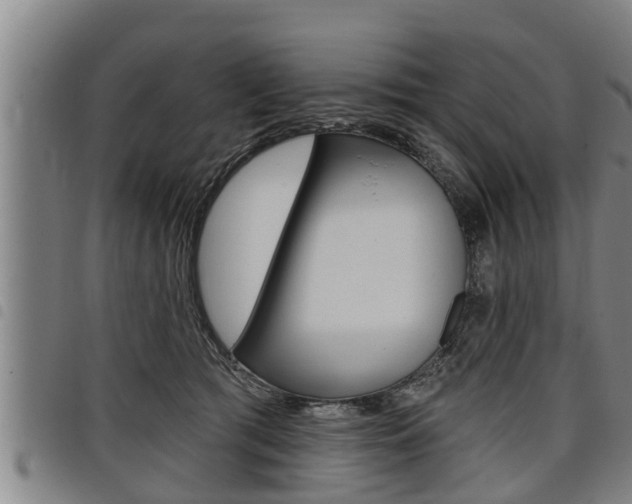 X0000098110417200804040805