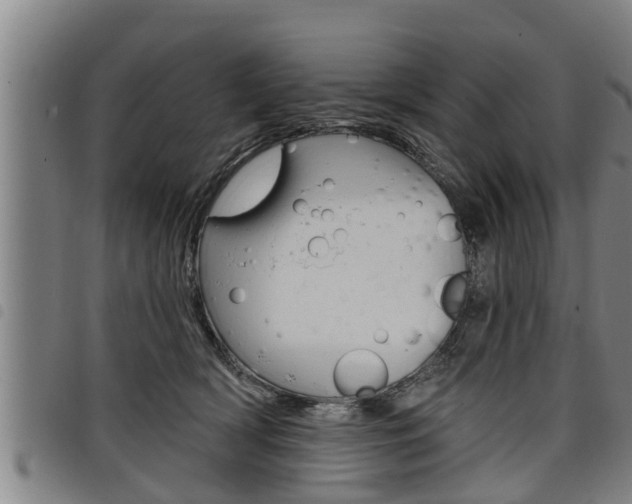 X0000098110418200804040805