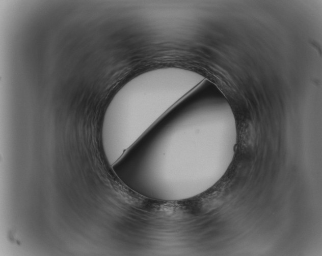 X0000098110420200804040805