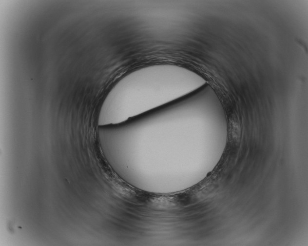 X0000098110422200804040805