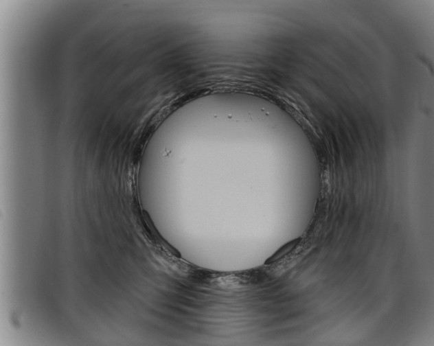X0000098110423200804040805